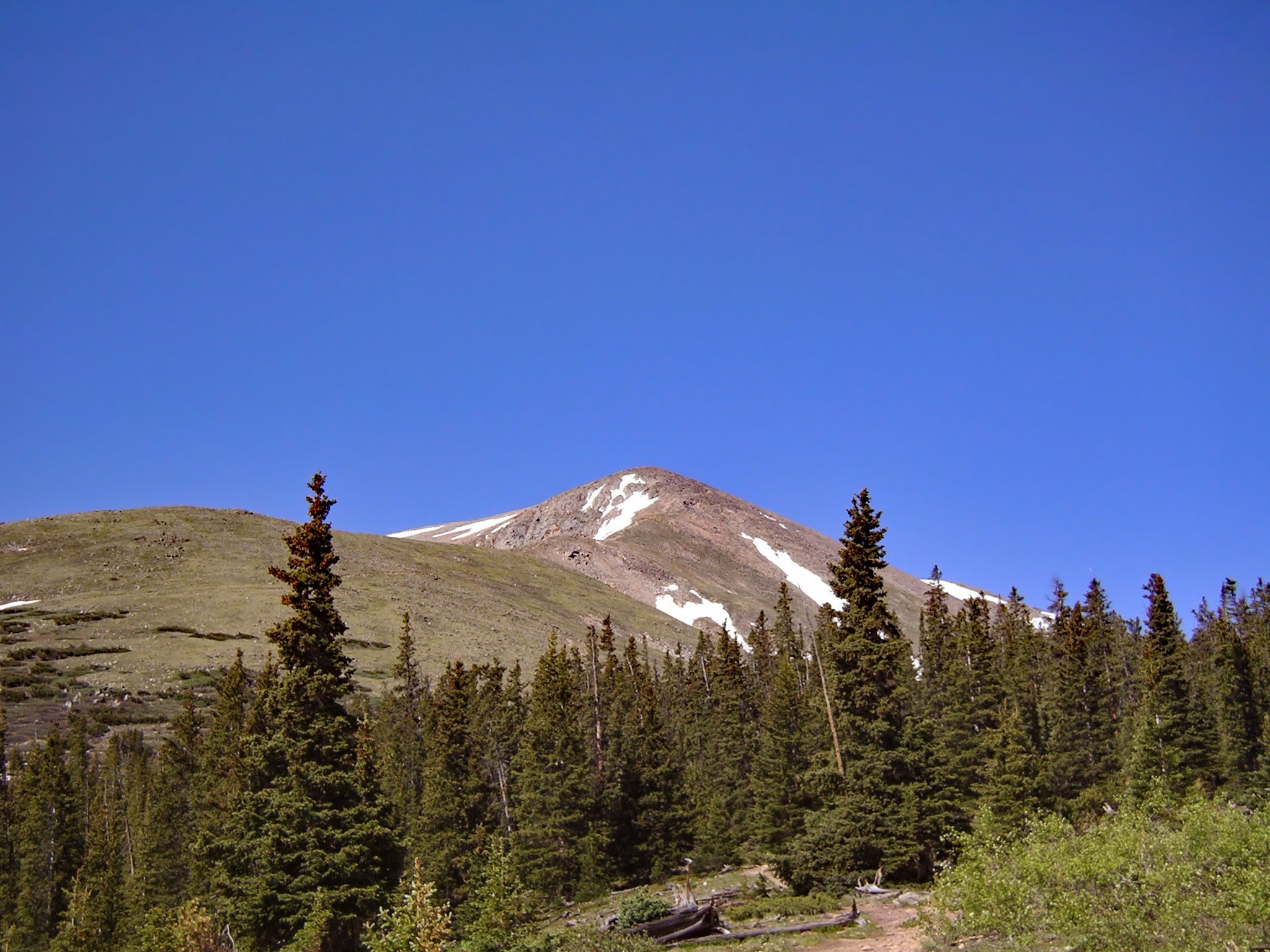 Treeliine an blue sky on Colorado's Mount Elbert