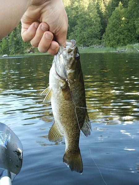 A Catch None