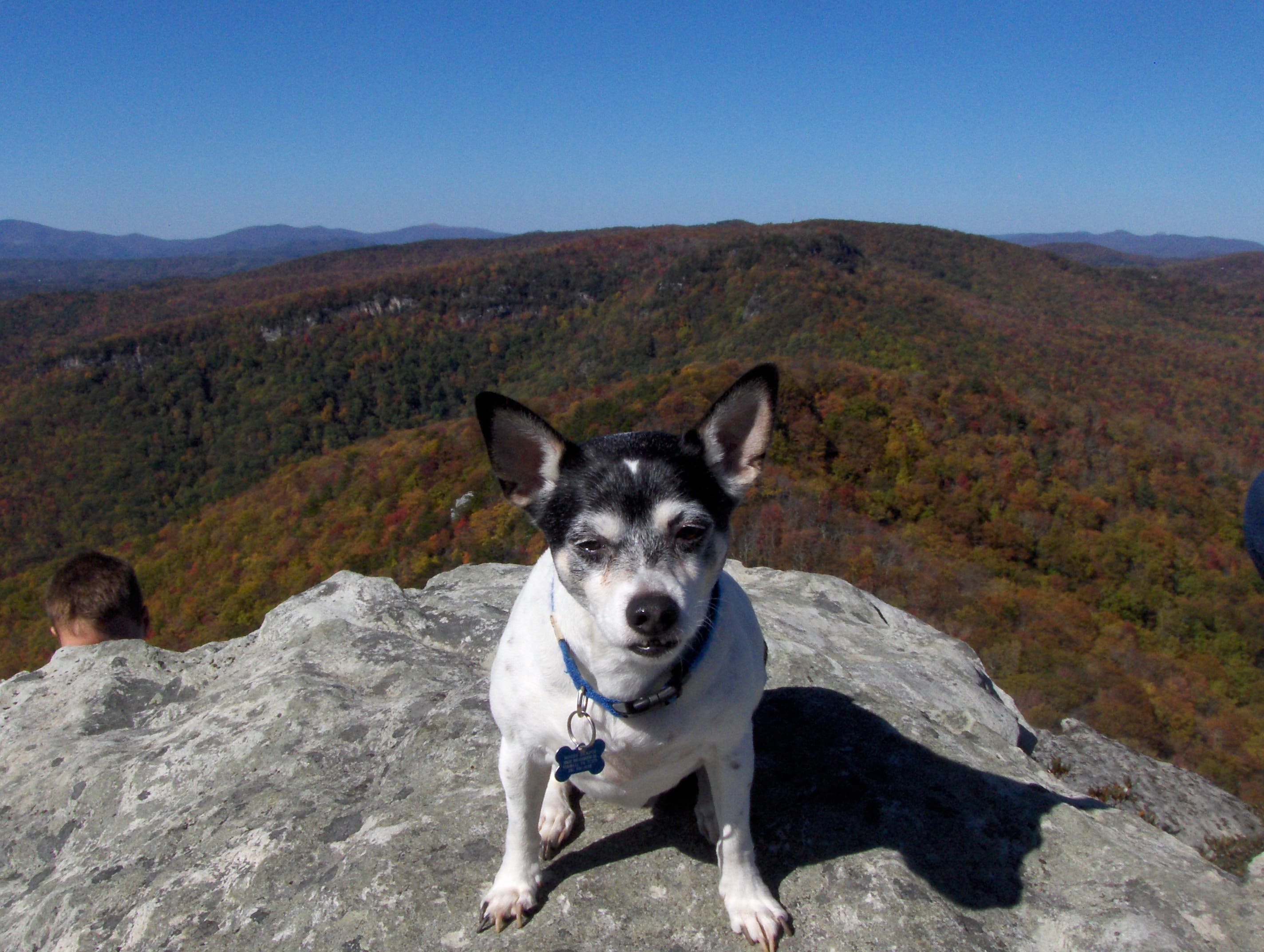 A Doable Summit None