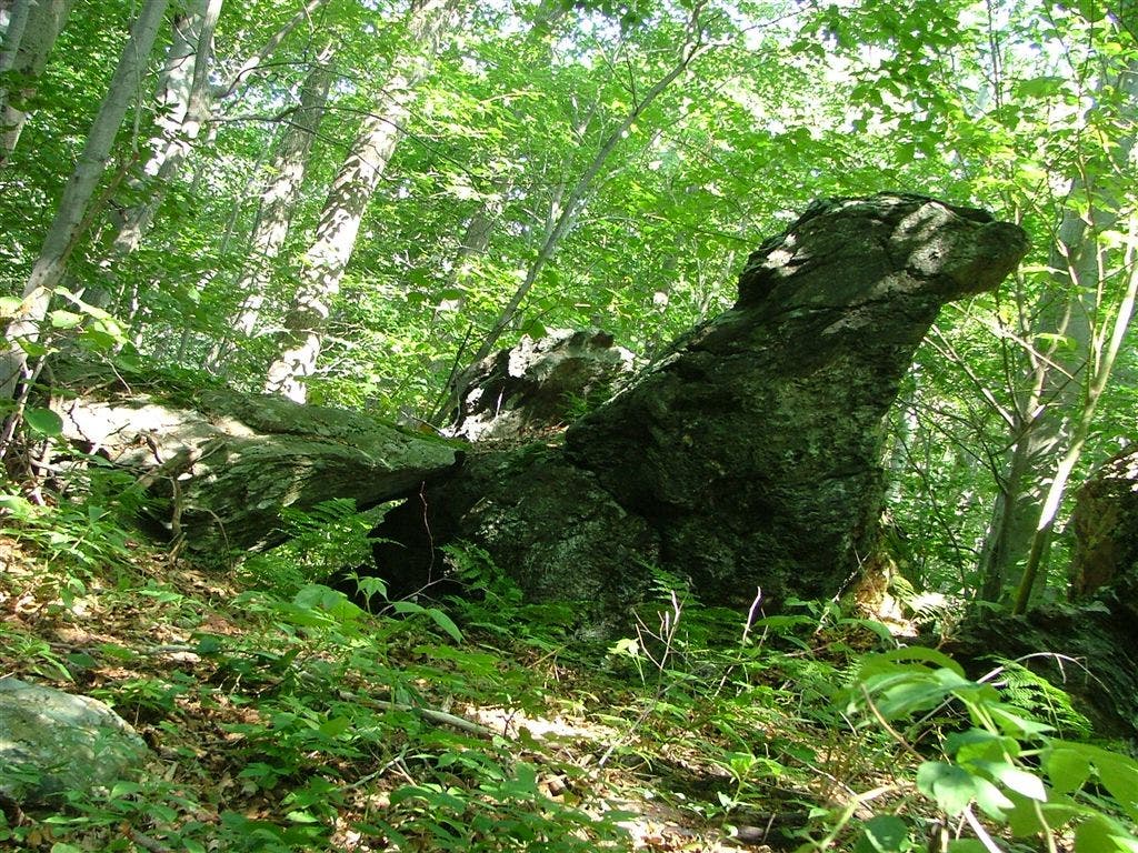 A falcon-shaped rock None