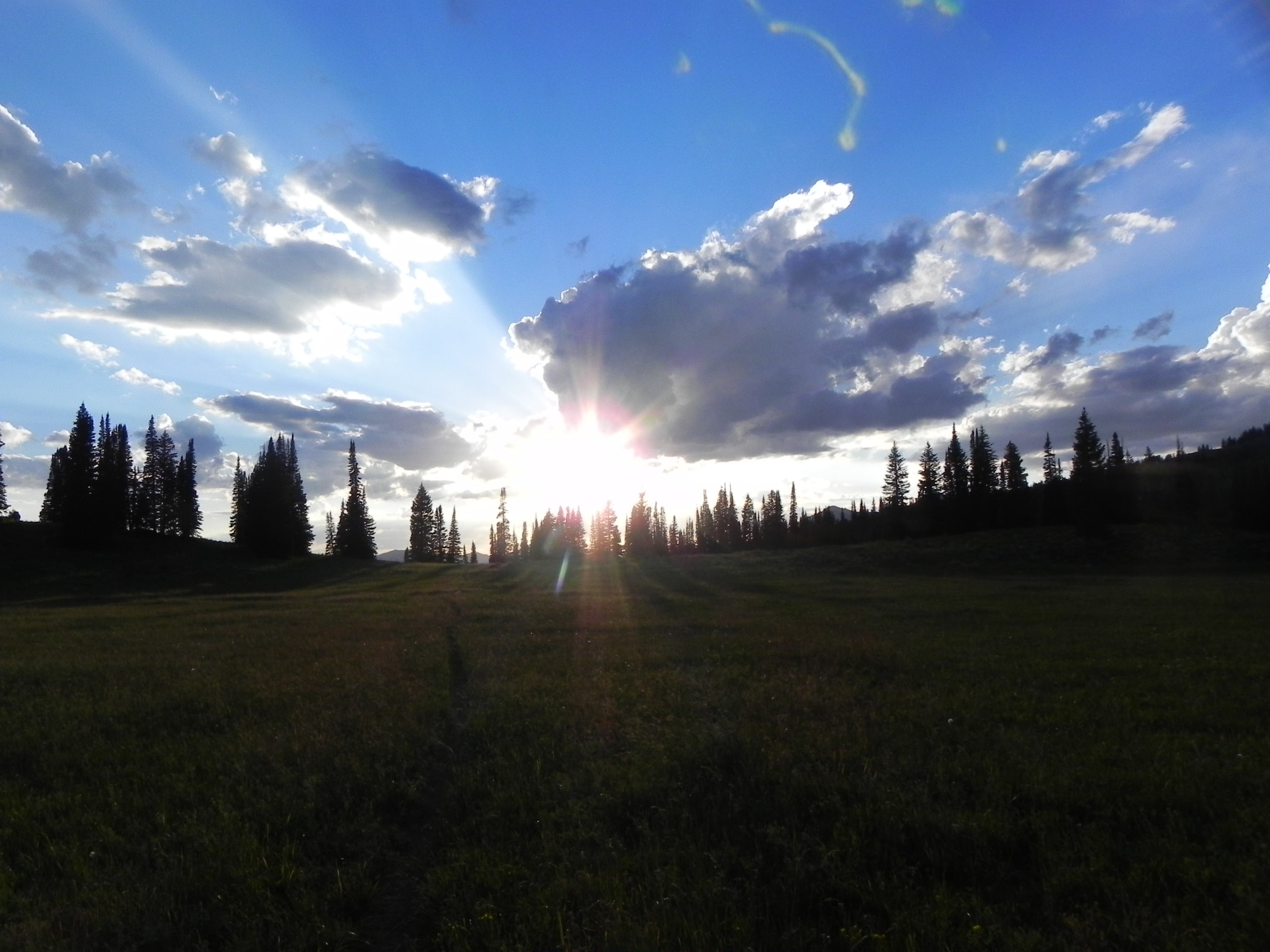 A meadow near the top of Deer Ridge None