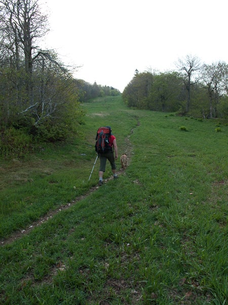 A Trail on a Trail None