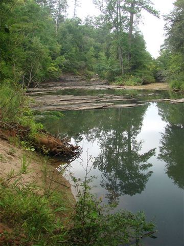 A view down Falling Creek None