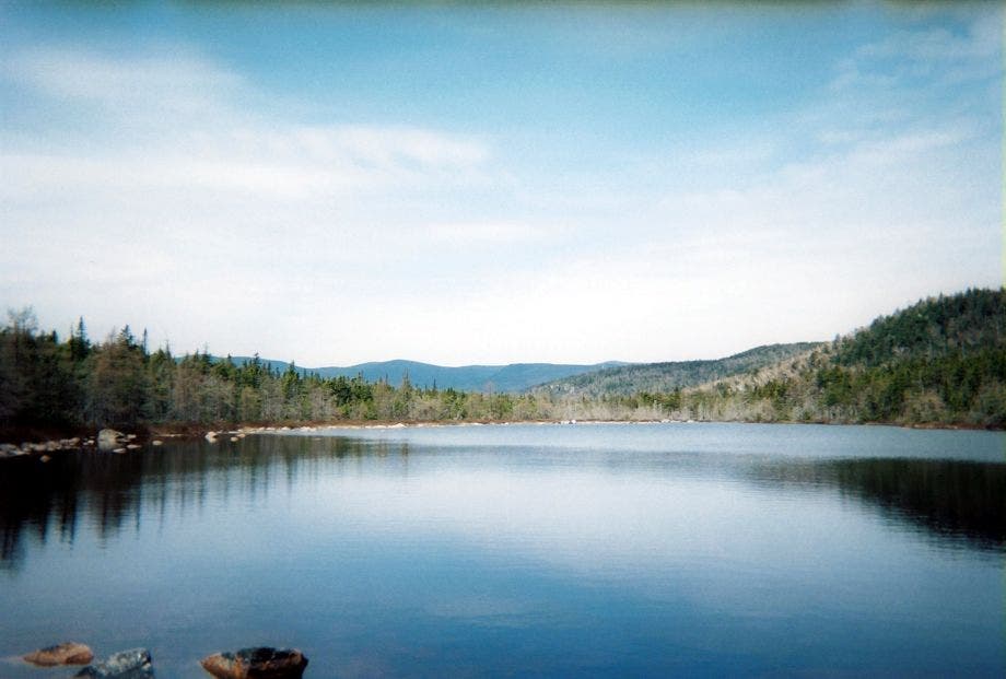 A view of Ethan Pond and beyond None