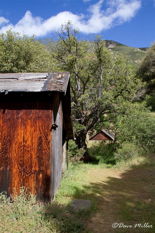 Abandond Shed None