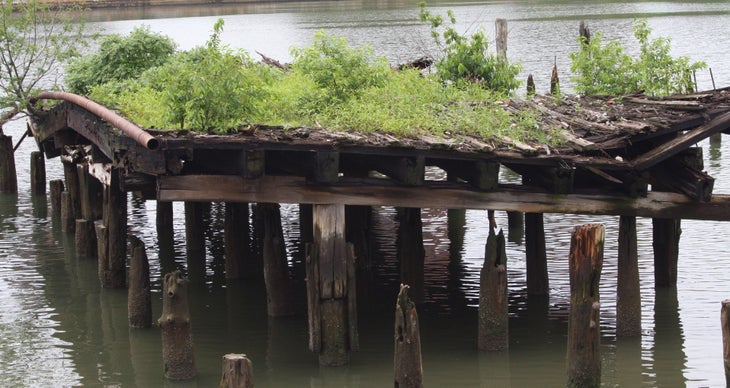 Abandoned pier None