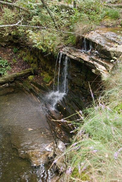 Above Lost Falls None