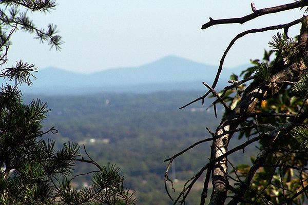 Above the Trees None
