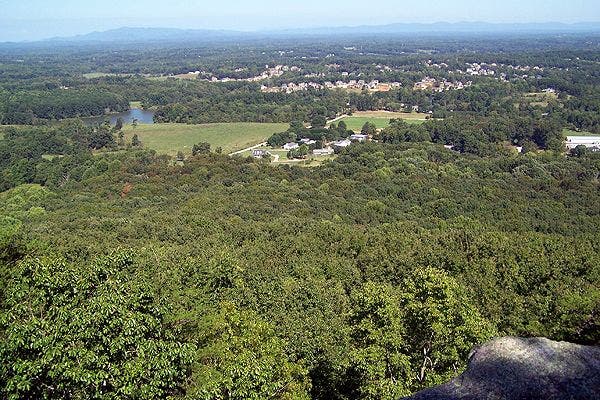 Above the Trees None