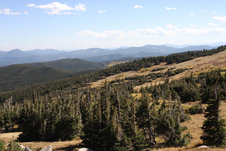 Above Treeline None
