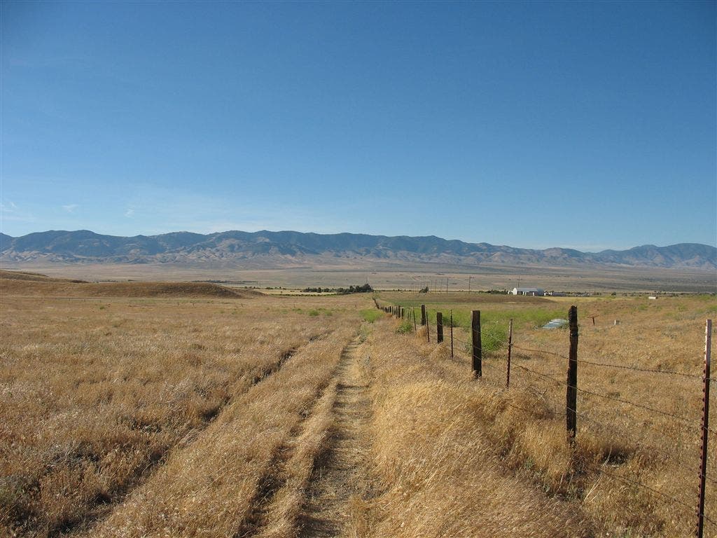 Across the grasslands None