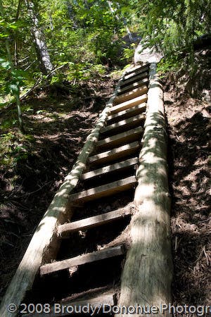 Adirondack ladder None