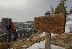 Agua Canyon Trail None