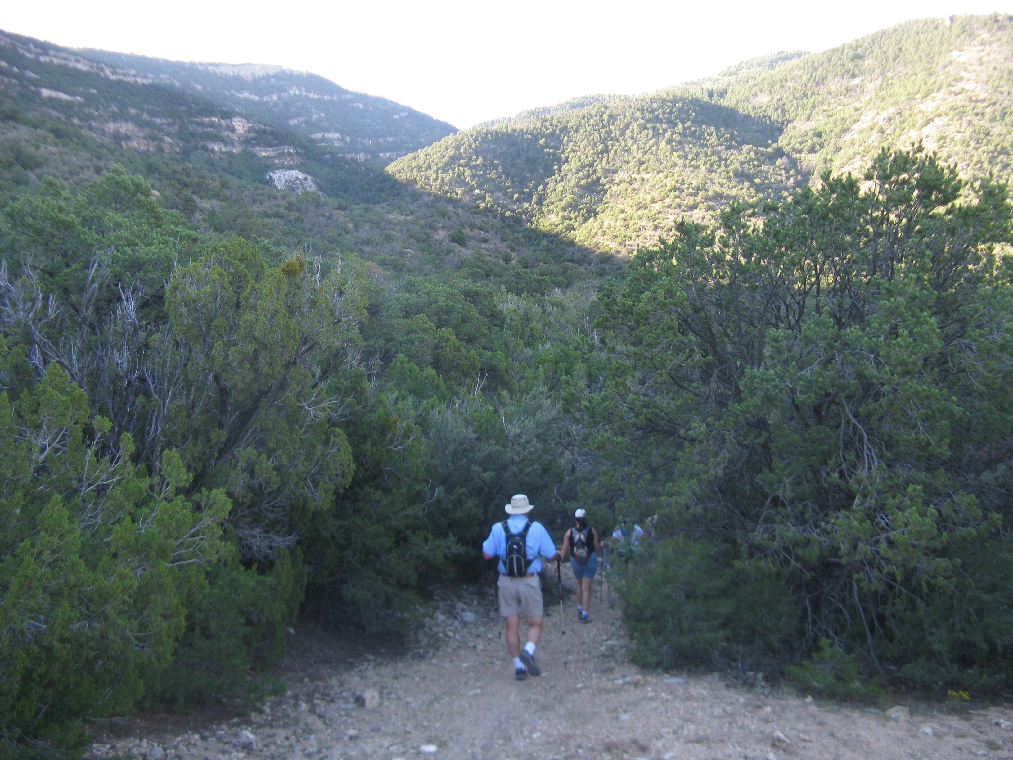 Agua Sarca Trail: Heading South None