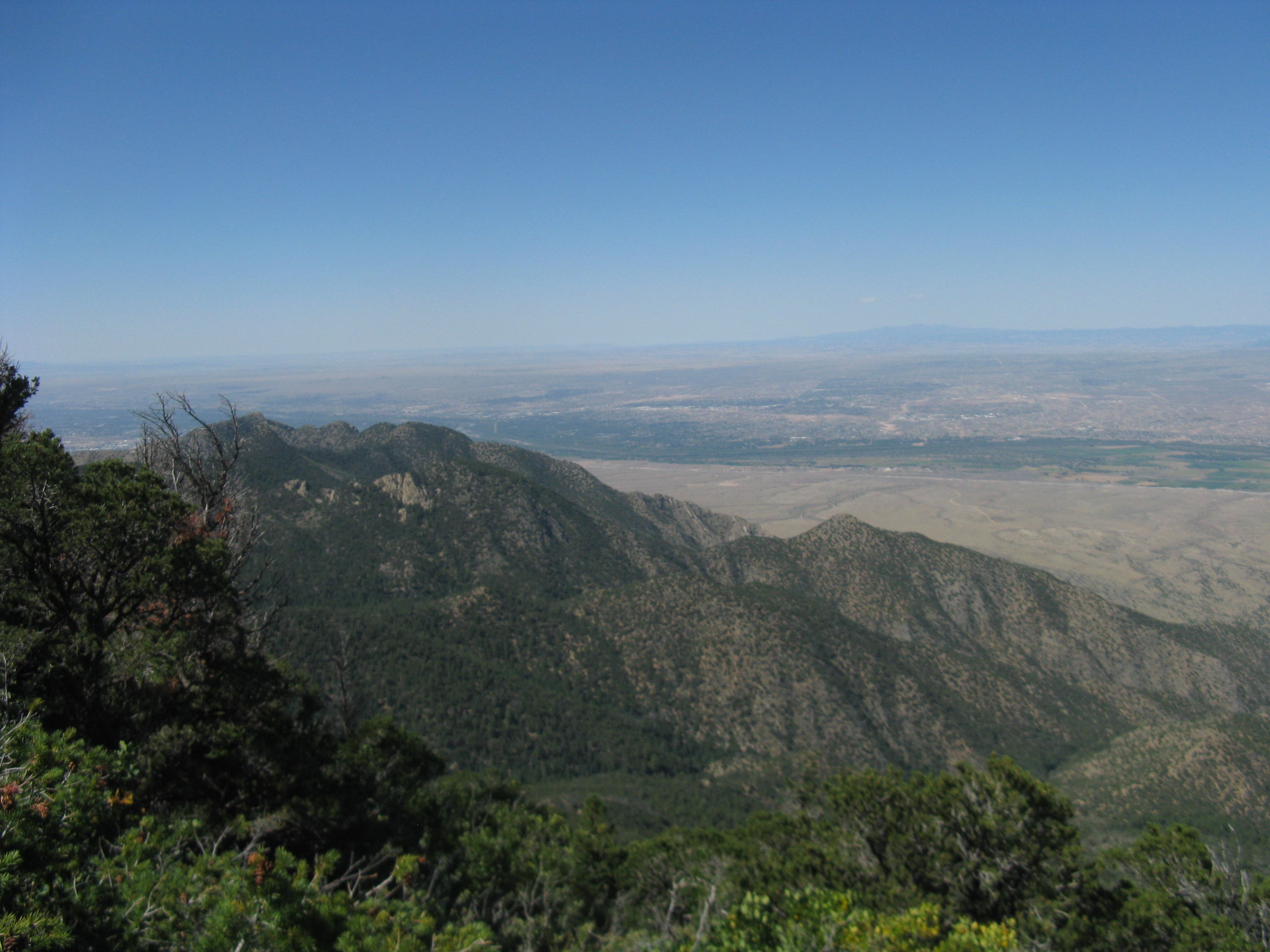 Albuquerque Panorama None
