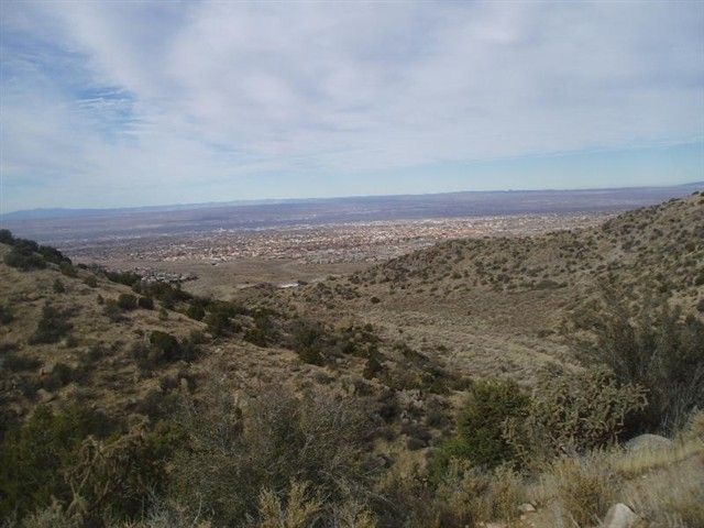 Albuquerque None