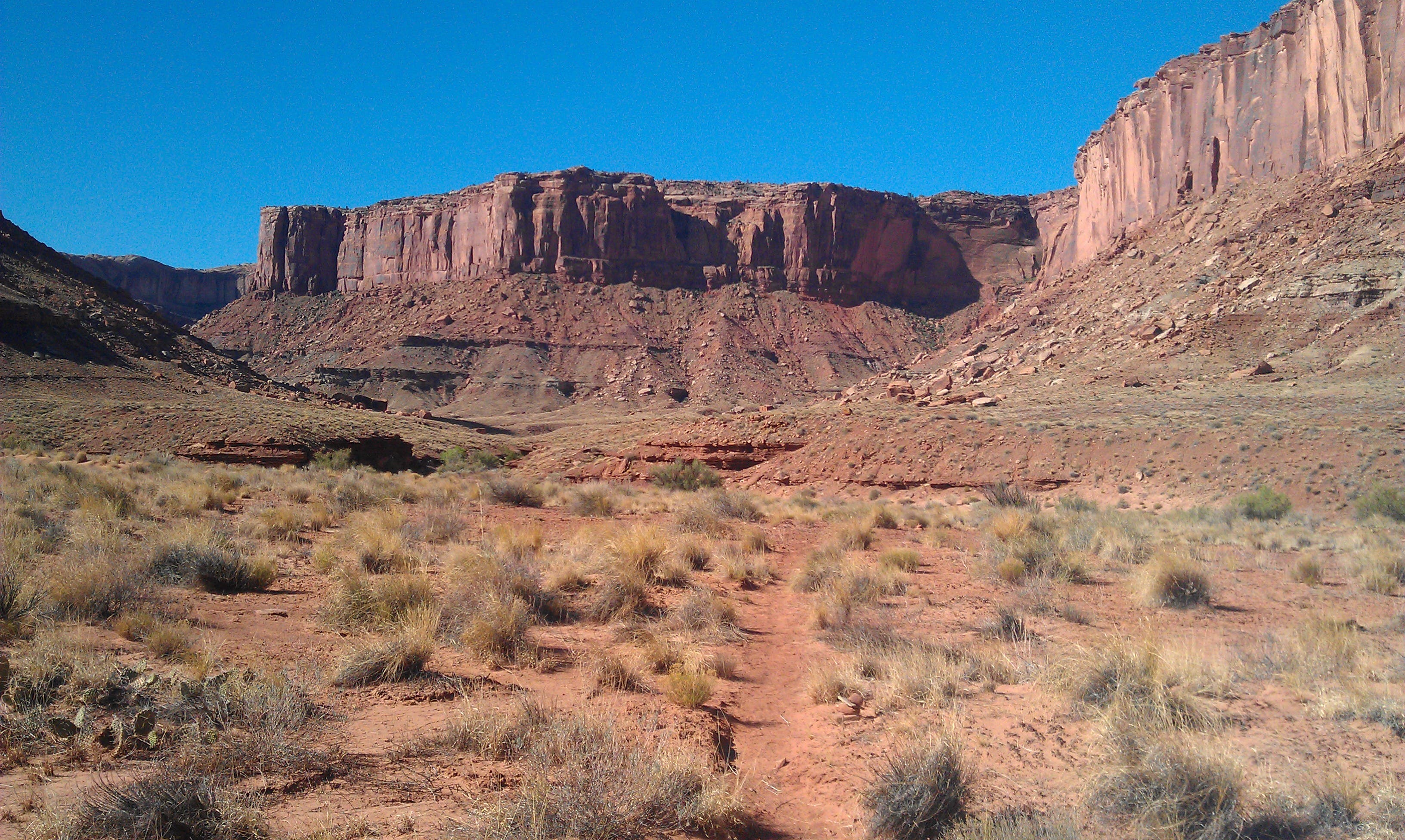 Alcove Spring Trail None