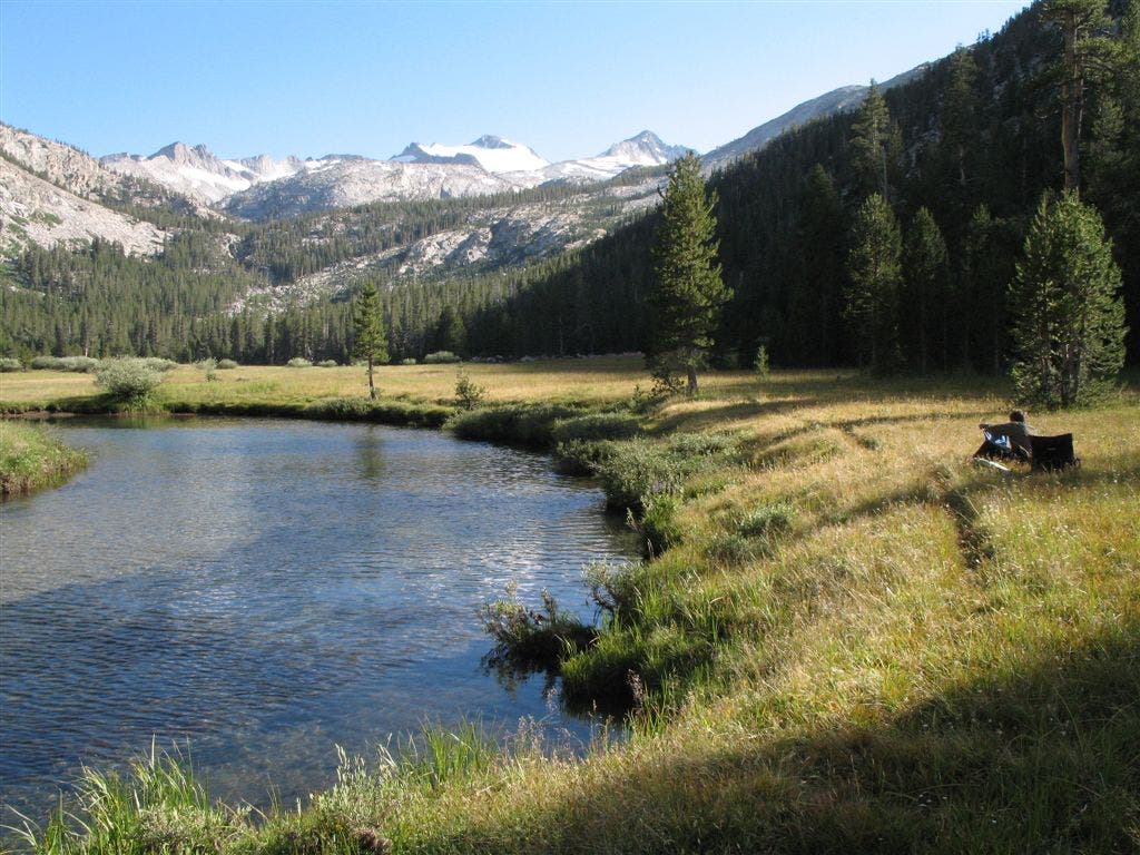 Along Lyell Fork None