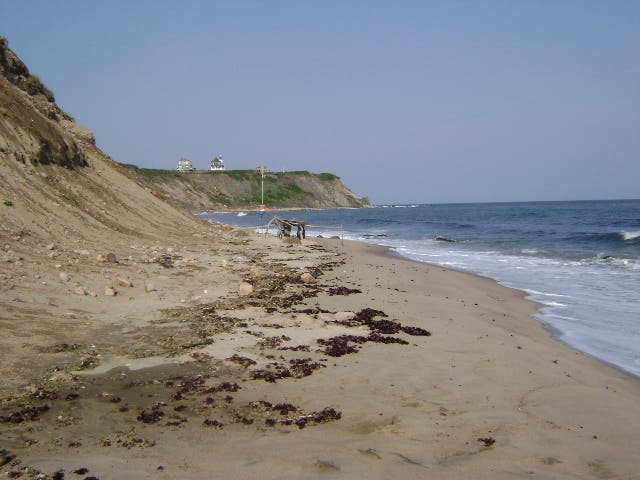 Along the Beach None