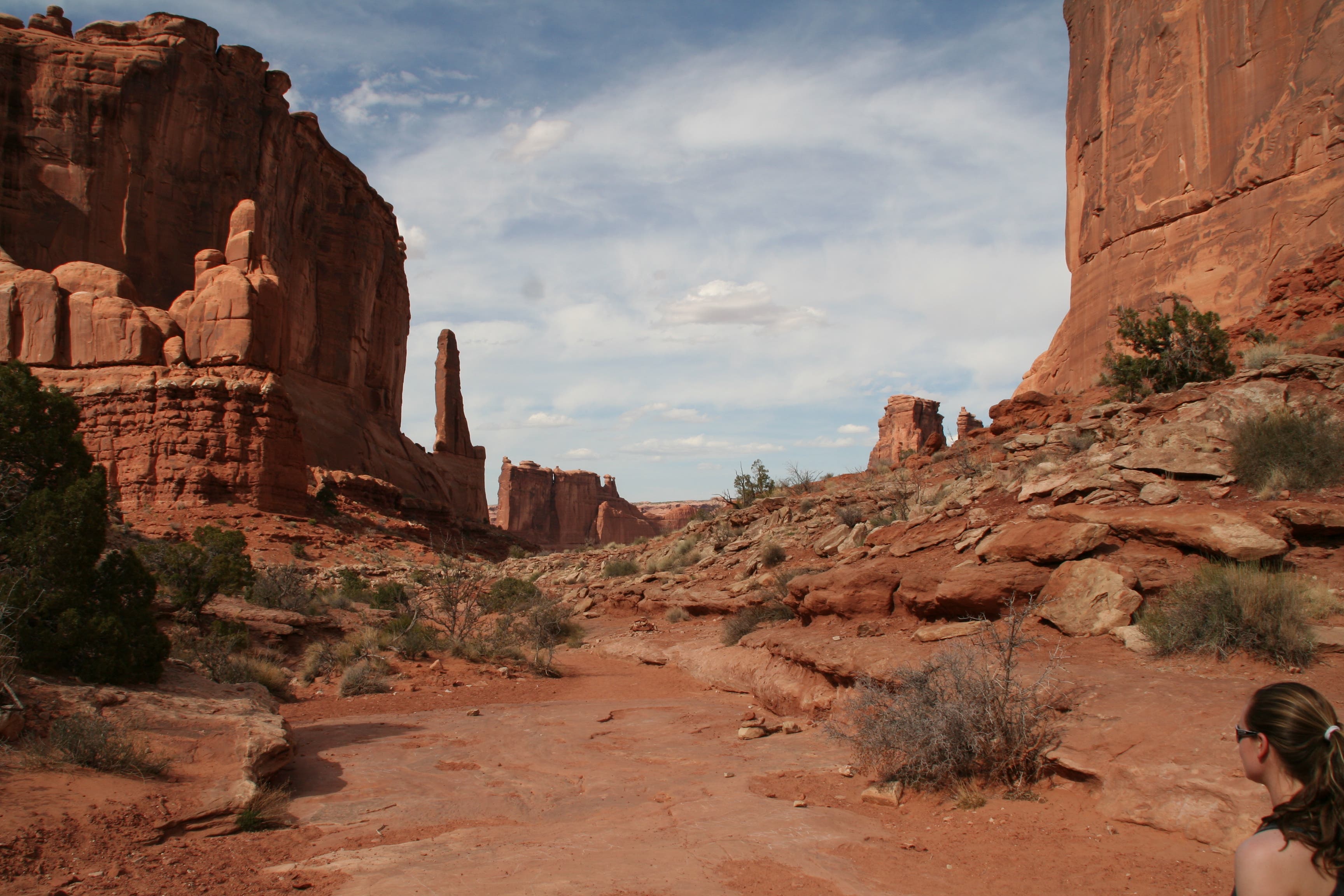 Along the Canyon Floor None
