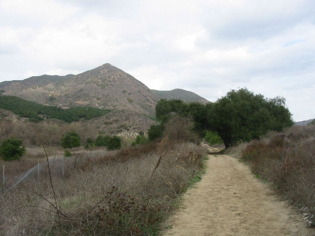 Along the River None