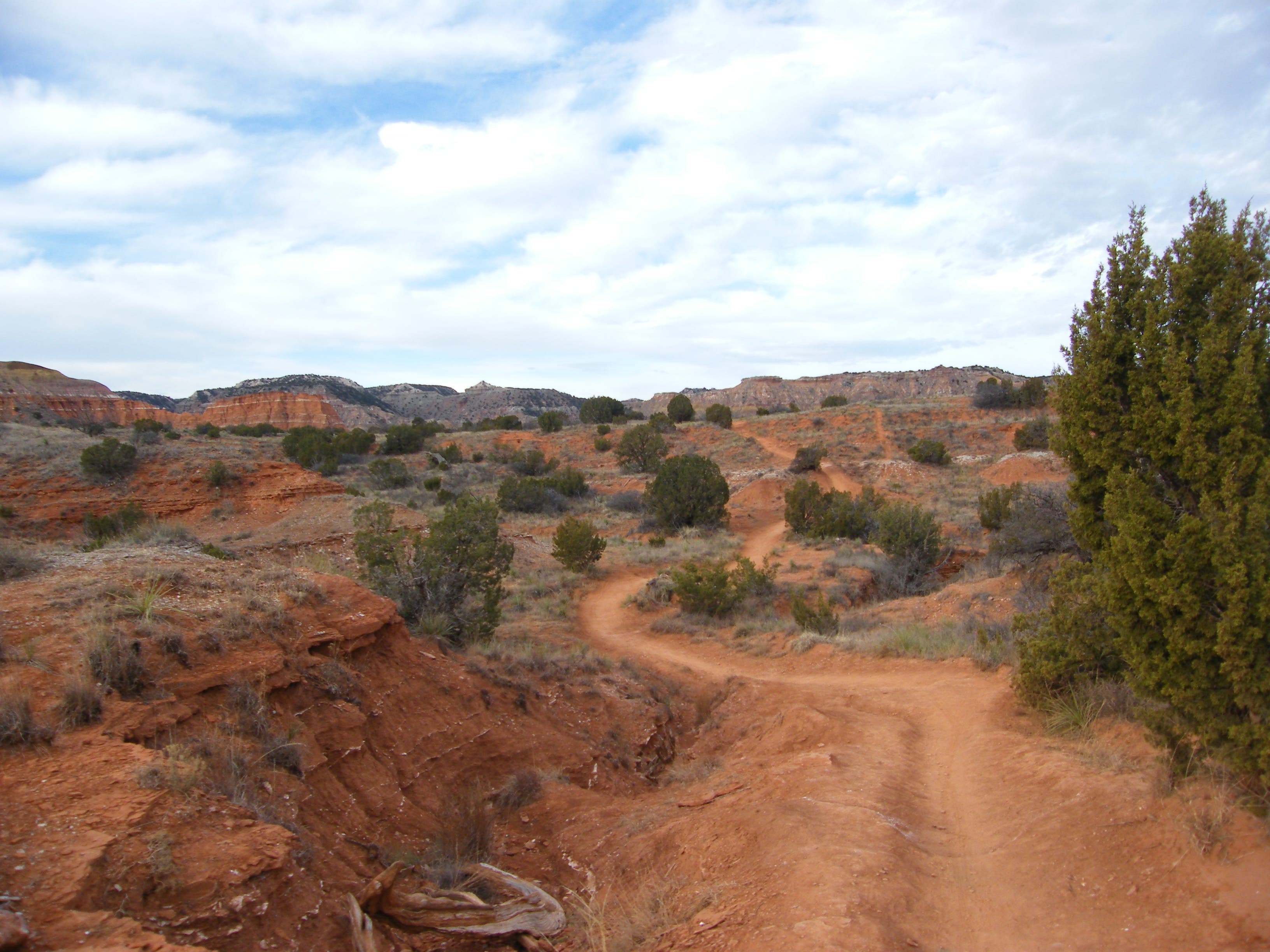 Along the Trail None