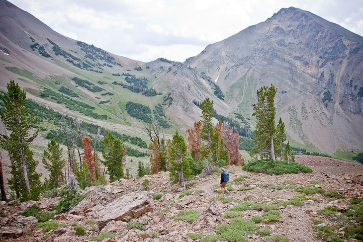 Alpine Basin None
