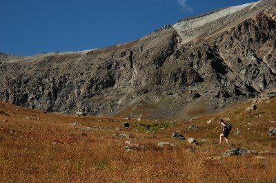 Alpine Tundra None