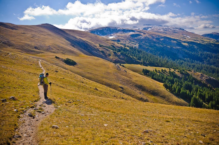 Alpine Tundra None