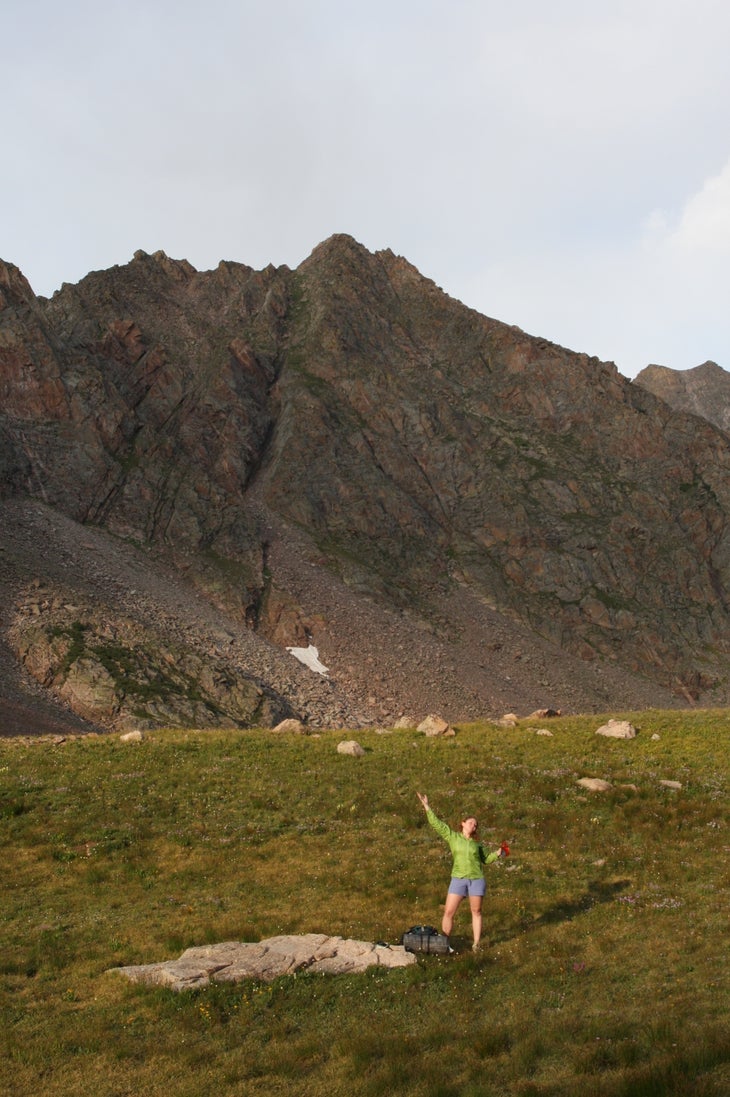 Alpine None