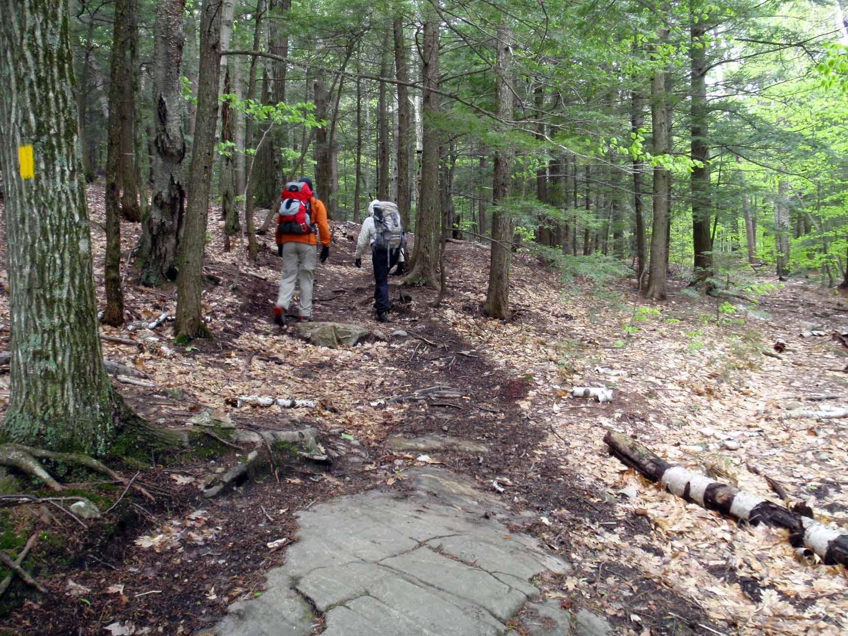 Amibguous Crossing None