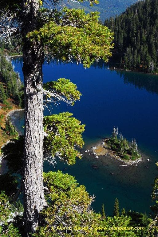 An island on Theasus Lake None