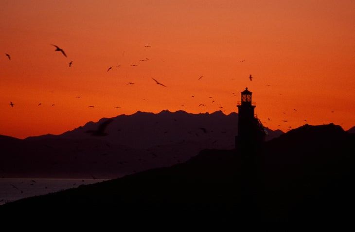 Anacapa Lighthouse None