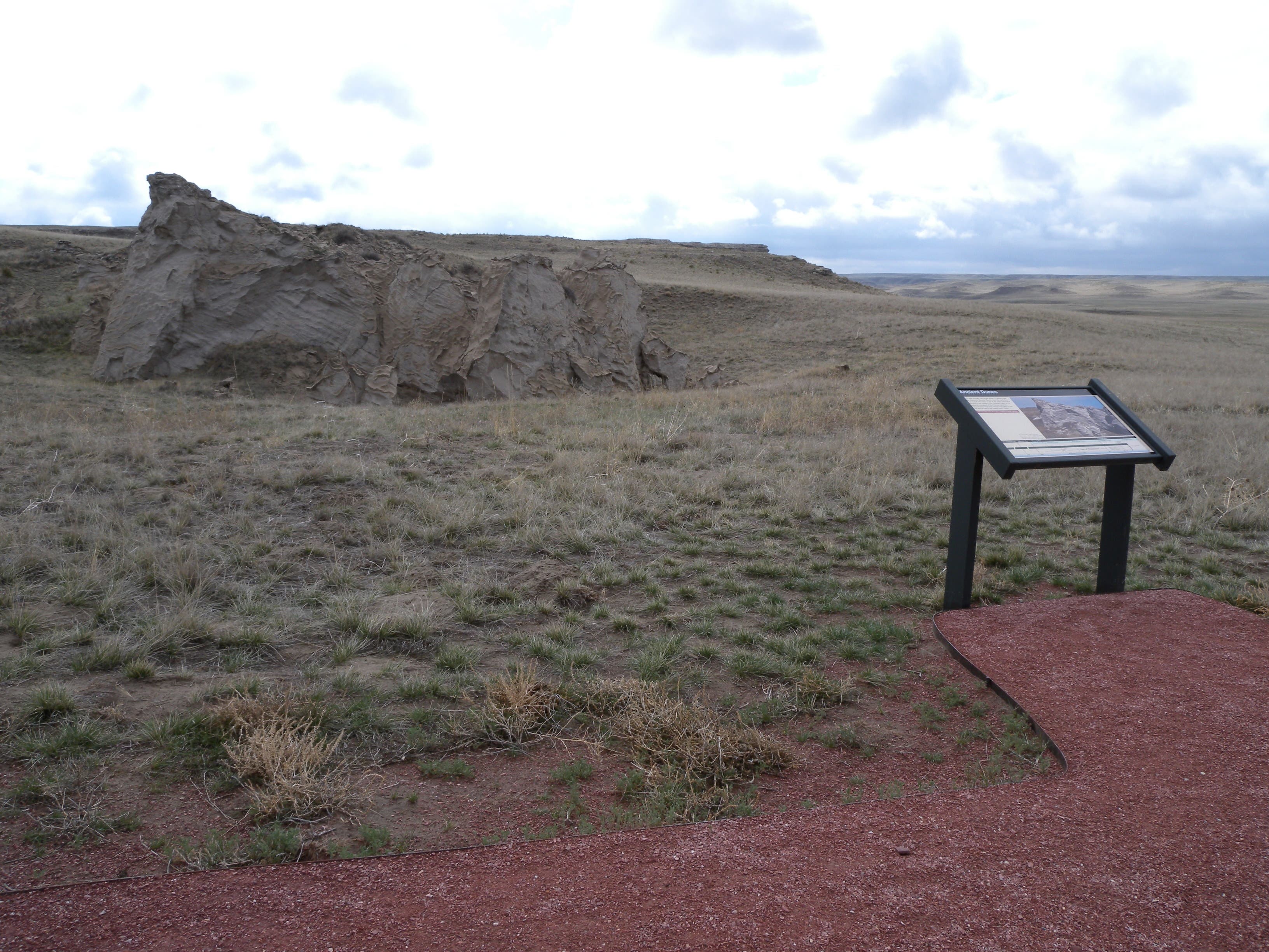 Ancient Sand Dune None
