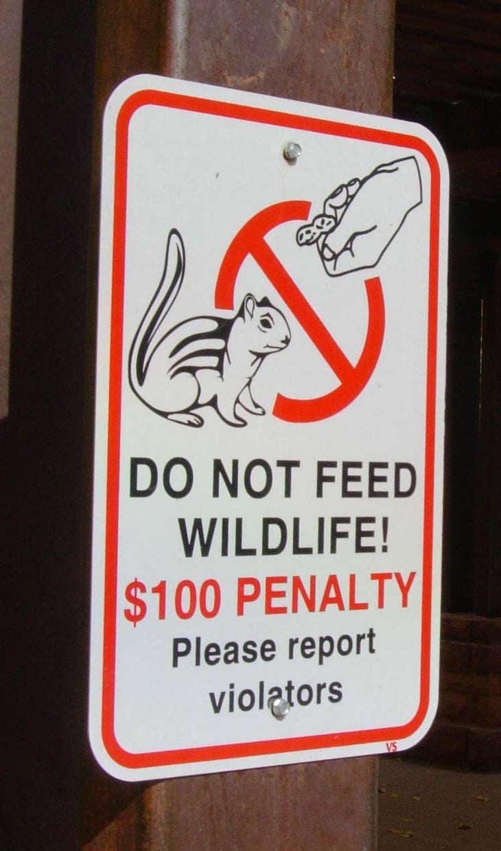 Animals None