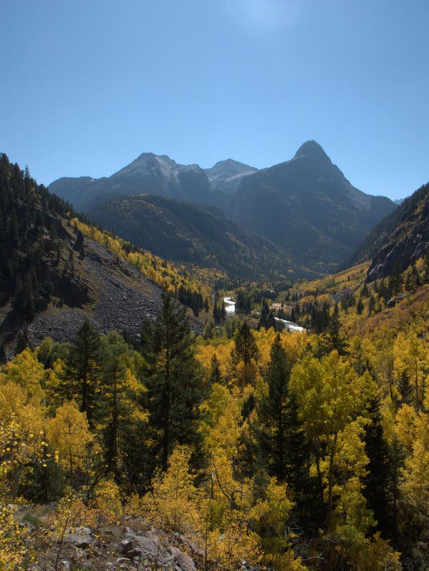 Fall time on the Colorado Trail near Stony Pass along the Animas River Valley. Bright yellow leaves mixed with dark green pine line the Animas River and flow toward the Grenadier Range on the Colorado Trail.