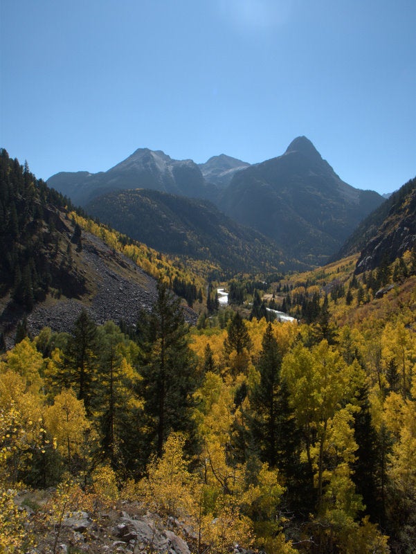 Bright yellow leaves mixed with dark green pine line the Animas River and flow toward the Grenadier Range on the Colorado Trail. 