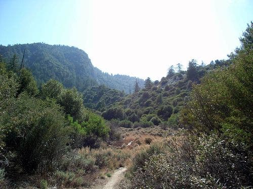 Another peak view None