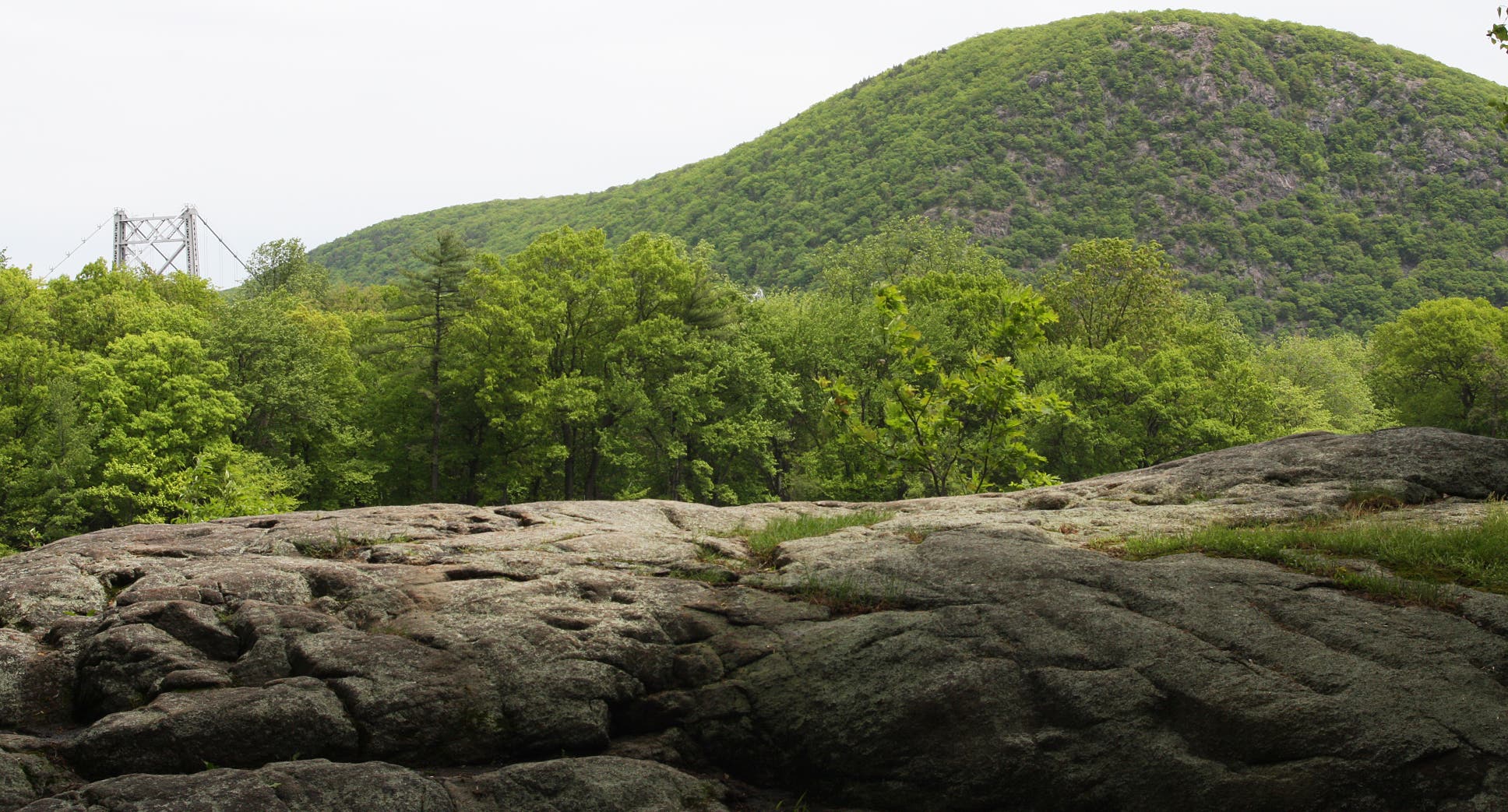 Anthonys Nose and Bear Mountain Bridge peak through the trees None