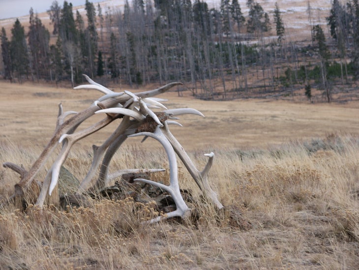 Antler Cairn None