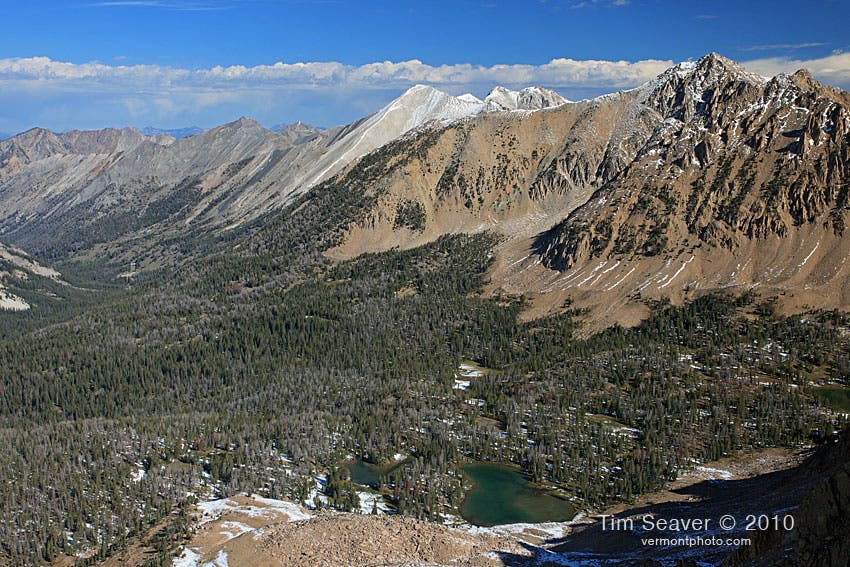 The pine-covered floor of Ants Basin as seen from Patterson Peak along the White Cloud Loop hike. 