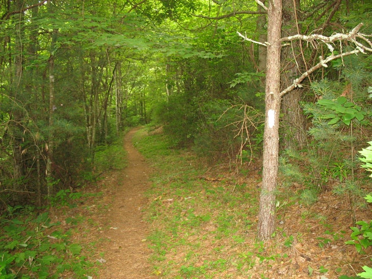 Mount Rogers National Recreation Area: Iron Mountain Loop