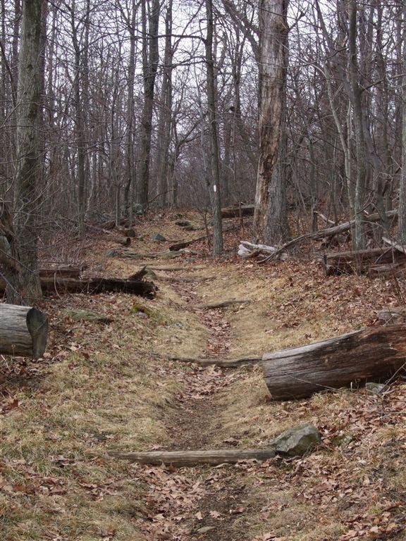 Appalachian Trail None