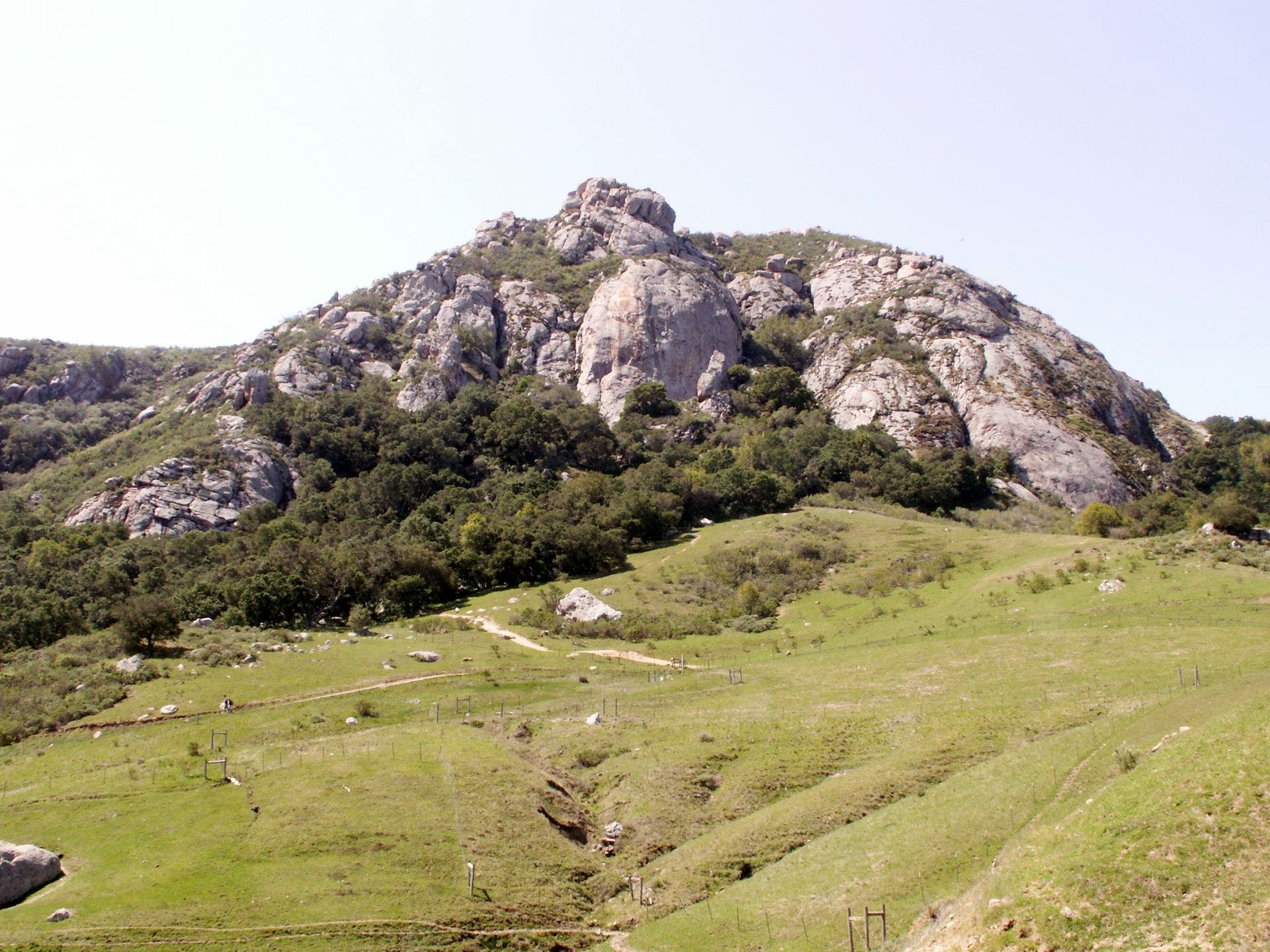 Approaching Bishop None