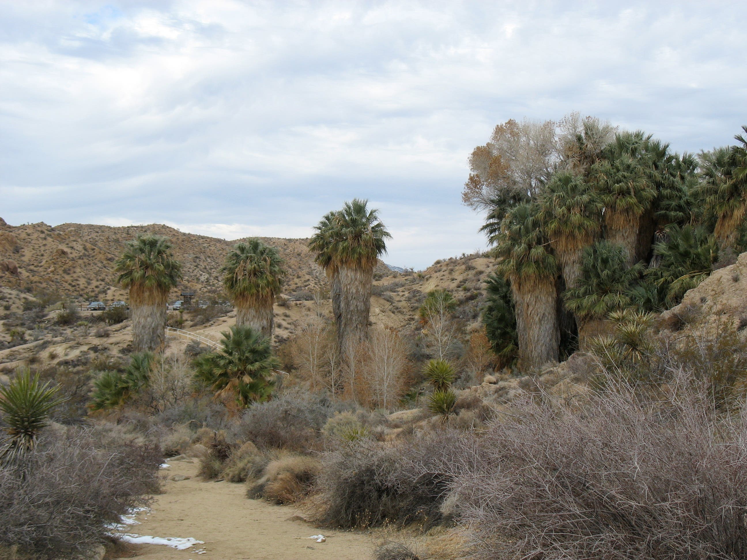 Approaching Cottonwood Spring None