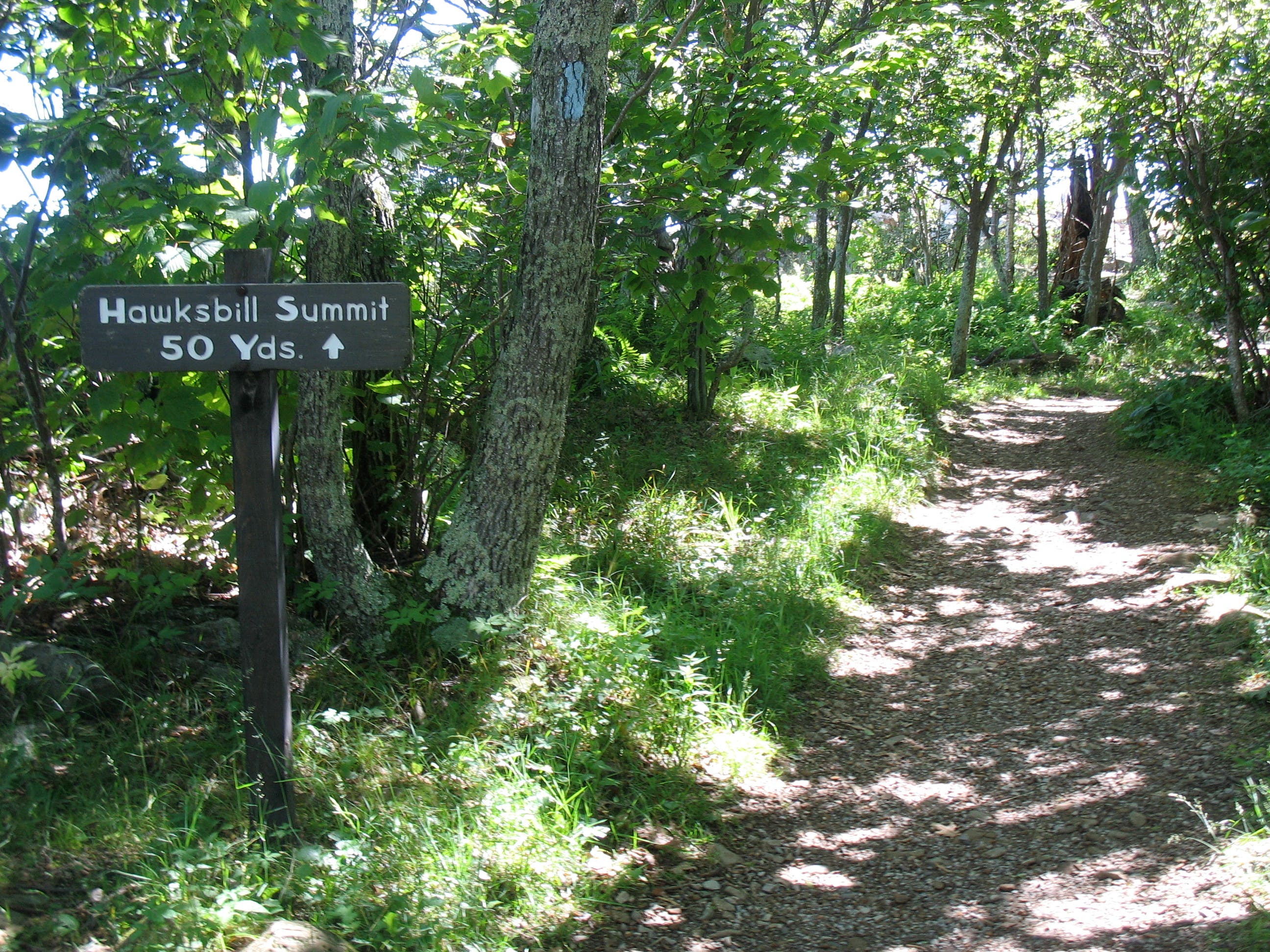 Approaching Hawksbill Summit None