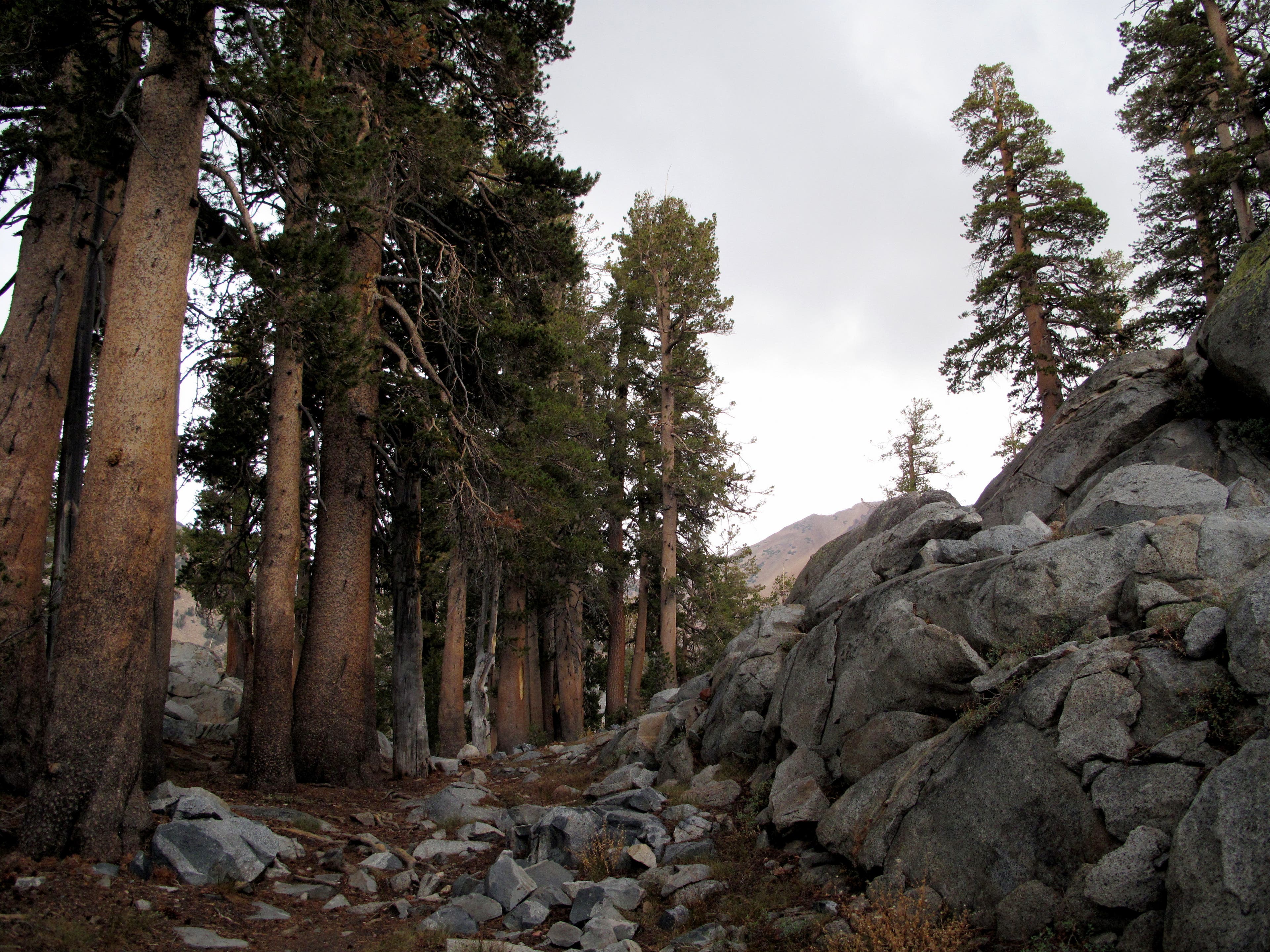 Approaching Ottoway Lakes None