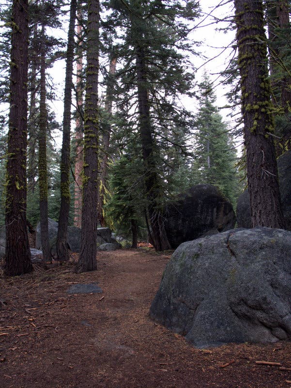 Approaching Sentinel Dome None