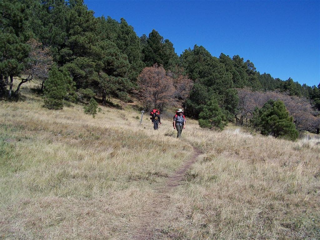 Approaching Six-Way Junction None