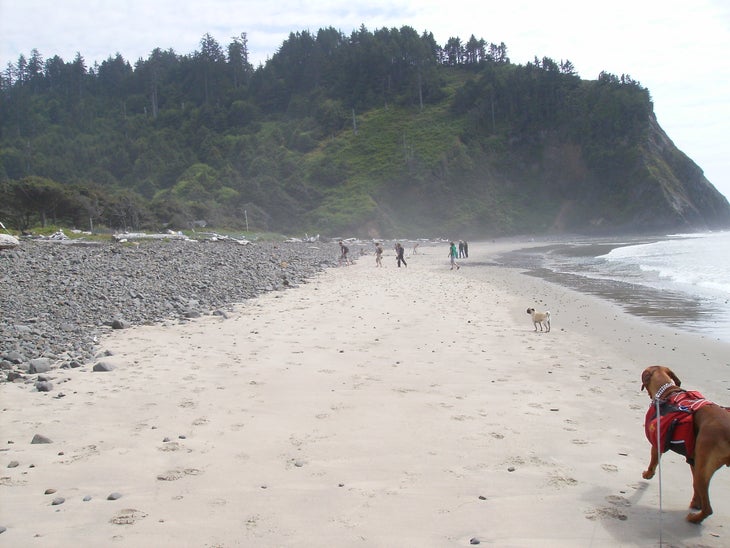 Arch Cape None